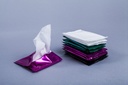 Sanitation for Population with Special Needs (Disabilities, etc.